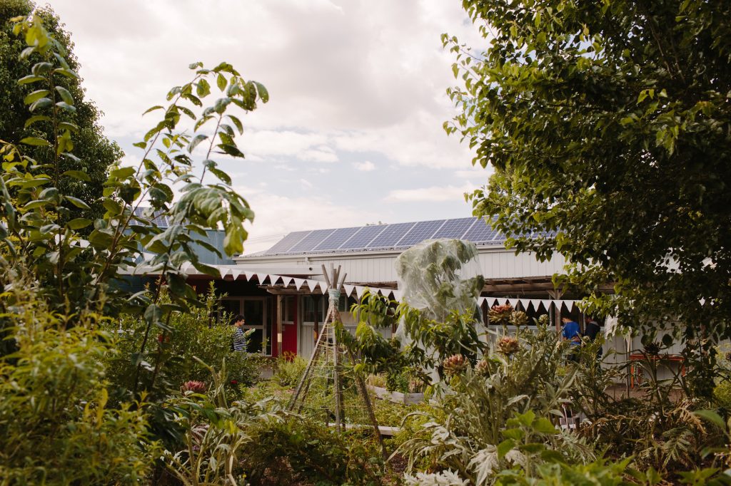 Milparinka garden showing trees, fruit trees, herbs and a view of the roofline of the main building